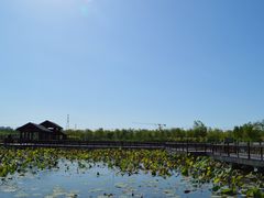 -天津东丽湖风景区