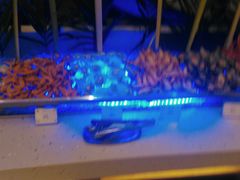 -元一希尔顿酒店·禅自助餐厅·啤酒花园