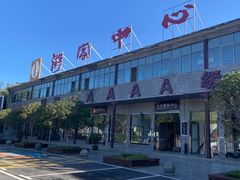 -中国西峡恐龙遗迹园