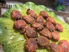 -鼎香缘海鲜自助火锅烤肉(锦辉购物广场店)