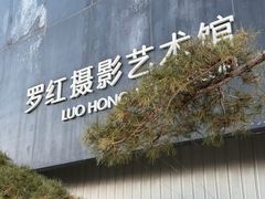 -罗红摄影艺术馆