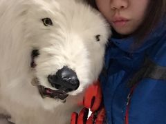 -绍兴启迪乔波冰雪世界
