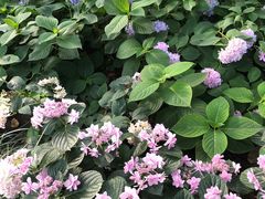 -常州古运河南大街文化旅游区-人民公园