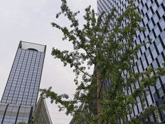 -苏州现代传媒广场商业