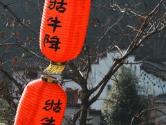 -石台牯牛降景区
