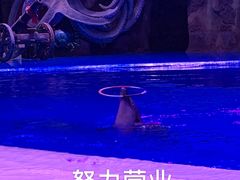 -华夏文旅海洋公园