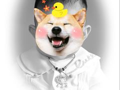 -大北照相(宋家庄店)