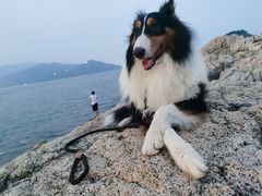 -西涌国际滨海旅游区