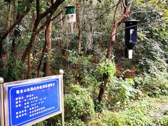 -紫金山山顶公园