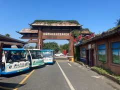 -北海金海湾红树林生态旅游区