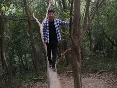 -紫金山山顶公园