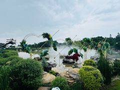 -荷兰花海