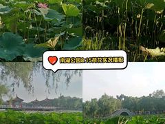 -长春市南湖公园