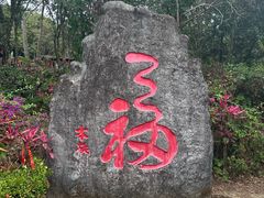 -七仙岭温泉国家森林公园