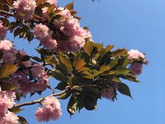 -杭州城北体育公园