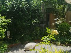 -Jo's Garden