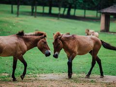 -杭州野生动物世界