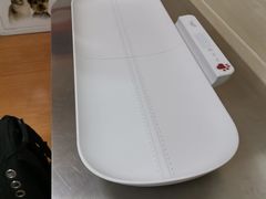 -北京观赏动物医院·24小时大型综合·猫专科·异宠专科