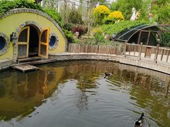 -南宫五洲植物乐园