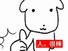 -全心全意连锁动物医院·微创中心·内科急重症·心脏专科(丰管路店)