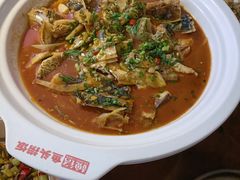 -魏铭鱼头捞饭(晋阳路店)