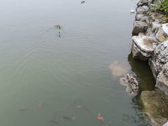 -迎泽公园