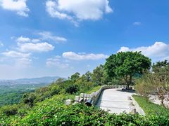 -火炉山森林公园