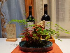 -叶叶菩提(太原别墅店)