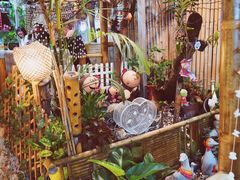 -Jungle Kitchen
