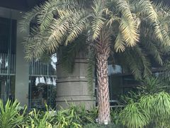 -广交会威斯汀酒店