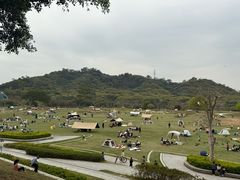 -风云岭森林公园