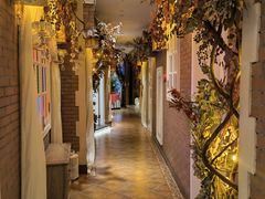 -叶叶菩提·晋福宫