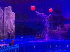 -华夏文旅海洋公园