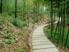 -藏龙百瀑风景区