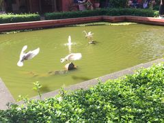 -柬埔寨国家博物馆