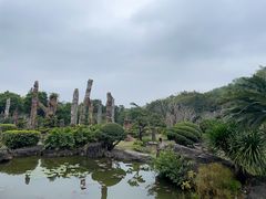 -深圳仙湖植物园