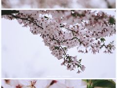 -龙美术馆(西岸馆)