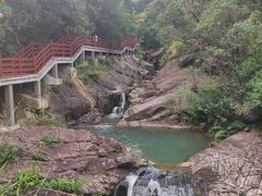 -广州白江湖森林公园