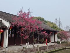 -丝绸小镇荻港古村
