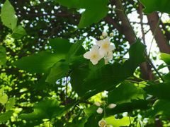 -终南山南五台景区