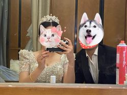 -金夫人婚纱摄影(总店)