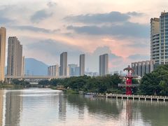 -三垟湿地