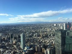 -东京都厅舍