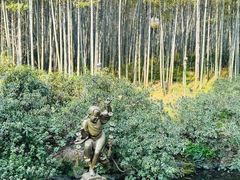 -杭州黄龙洞