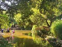 -成都市活水公园