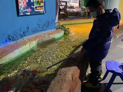-常州海昌海洋探索馆