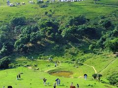 -大姆山草场