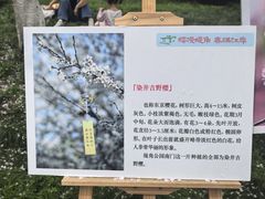 -堤角公园