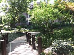 -新湖明珠城