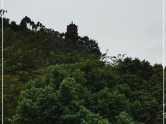 -南沙蒲洲花园
